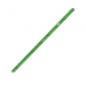 BioPak Regular BioStraw 6mm Green Carton of 2500