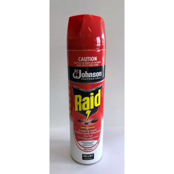 Raid Odourless Crawling Insect Surface Spray 450g