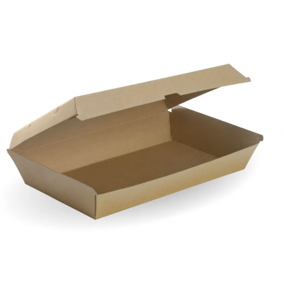 BioPak BioBoard Box Family Kraft Carton Of 100