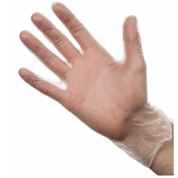 Vinyl Powdered Disposable Gloves Clear Medium Box of 100