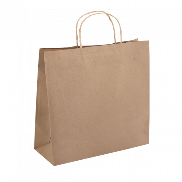 Brown Kraft Delivery Bag Twist Handle Carton of 250
